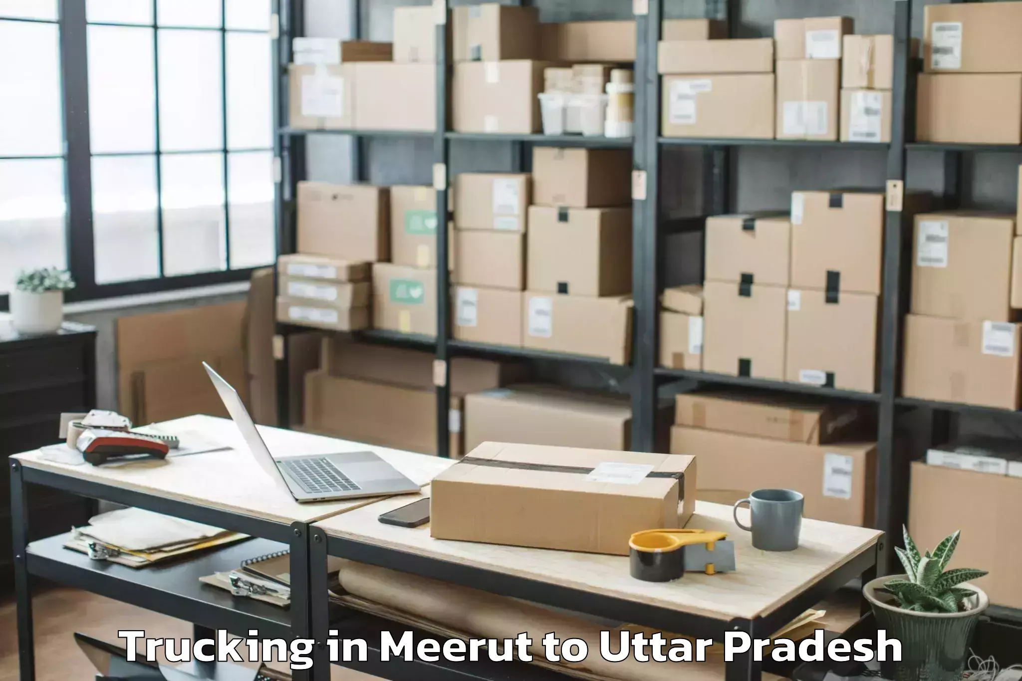 Book Meerut to Kabrai Trucking Online